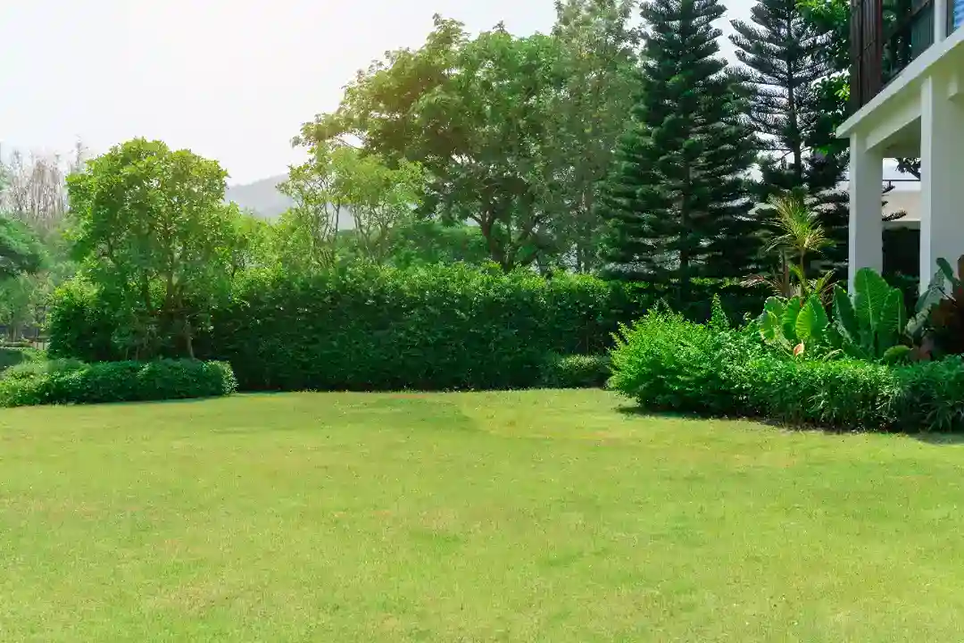 Gardeners Blackburn