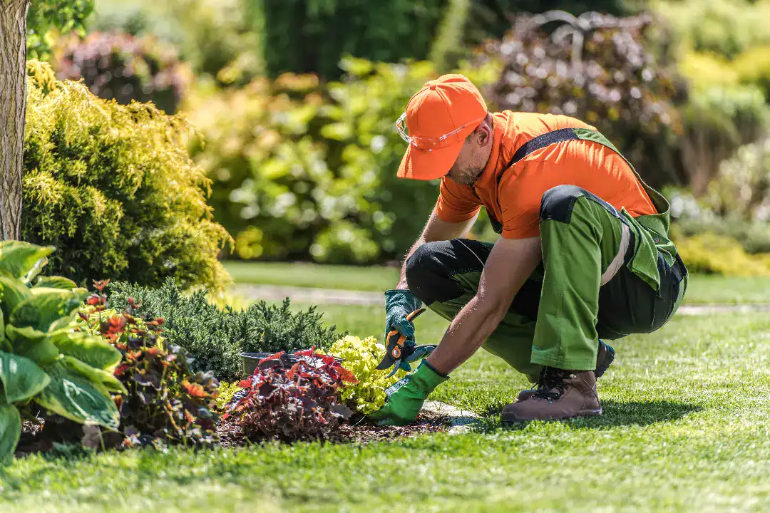 Gardeners Blackburn
