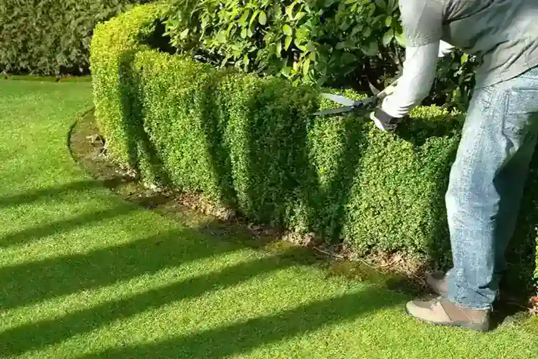 Gardeners Blackburn
