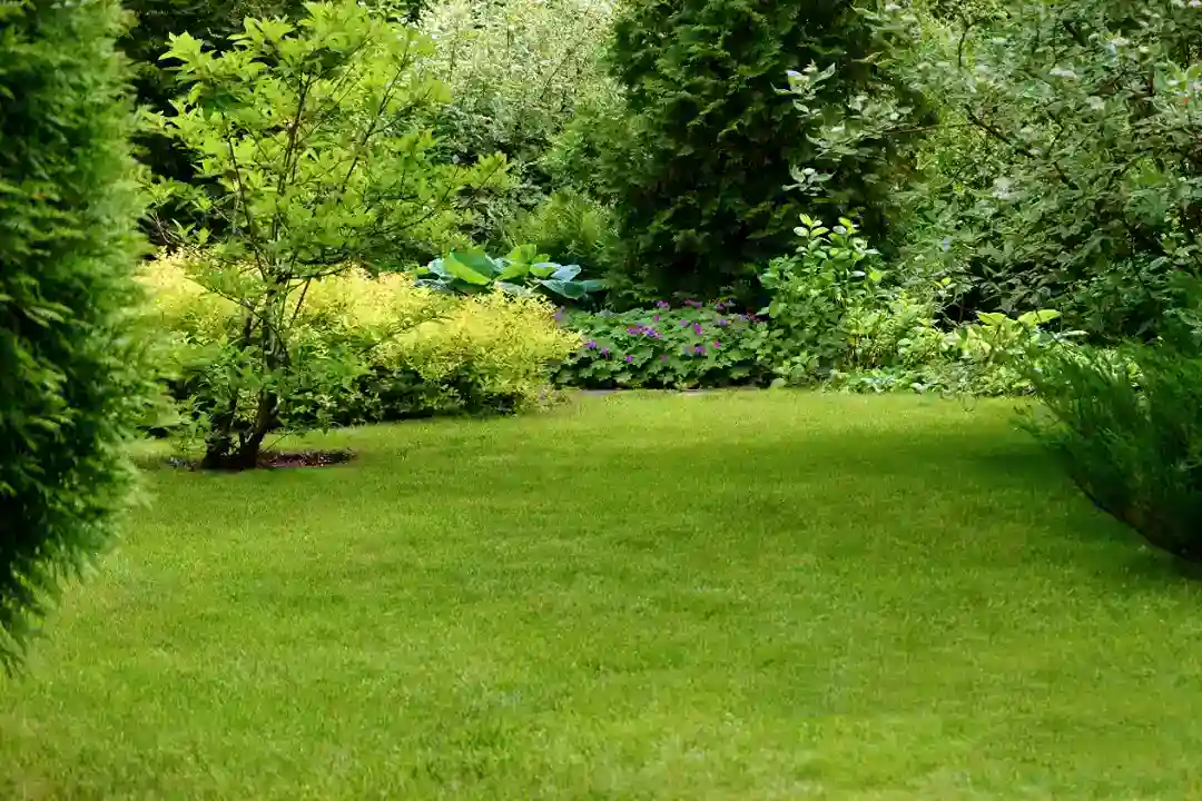 Gardeners Kew