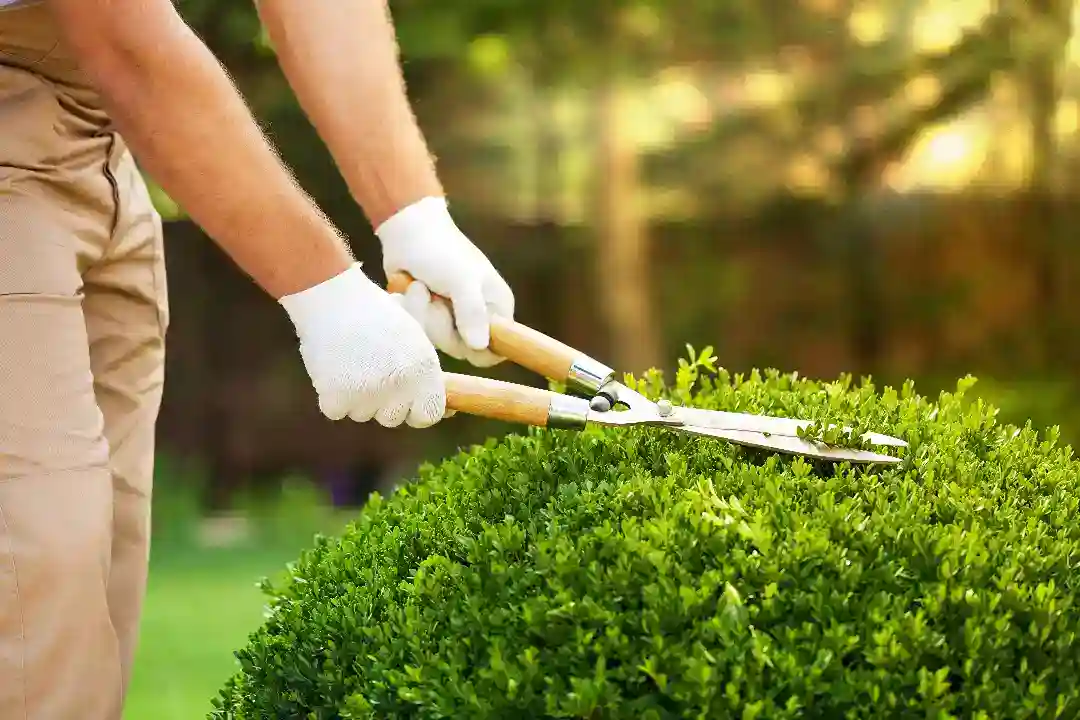 Gardeners Kew