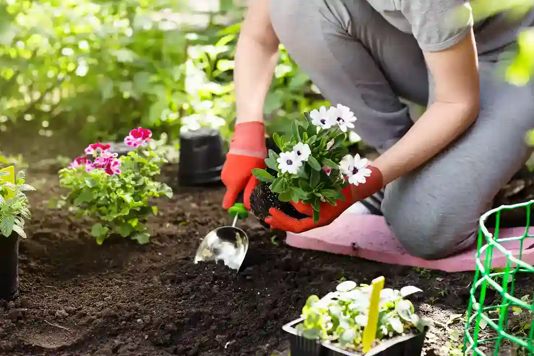 Gardeners Kew