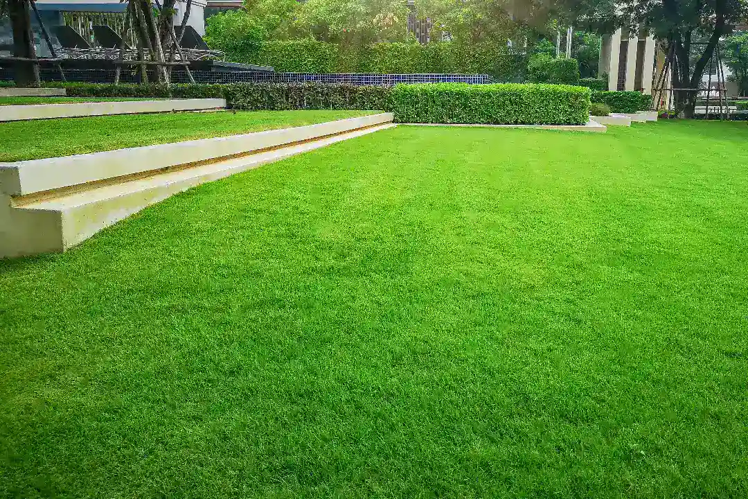 Landscaping Albert Park