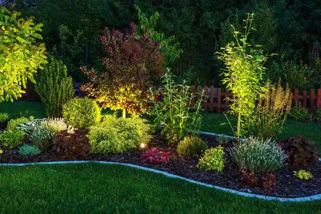 Landscaping Box Hill