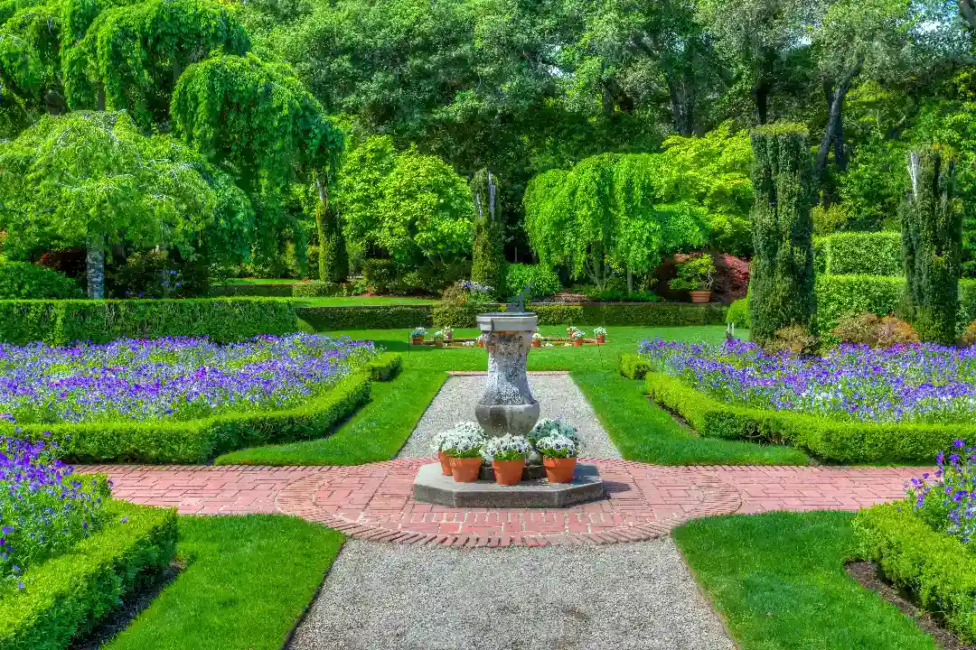 Landscaping Box Hill
