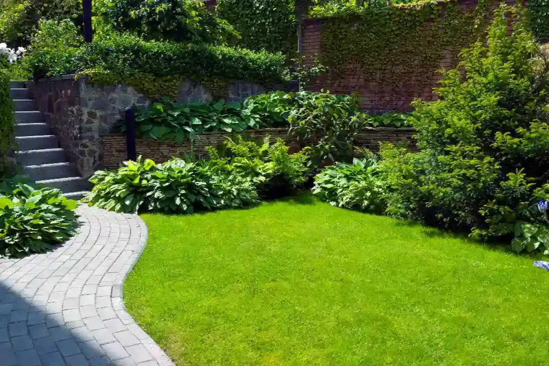 Landscaping Box Hill