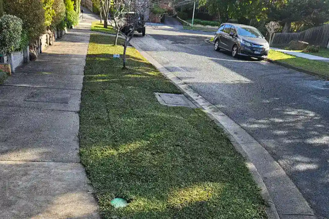 Landscaping Burwood