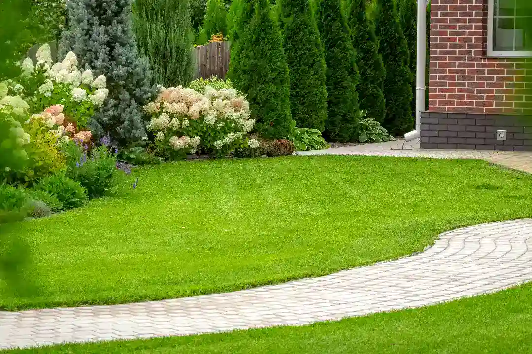 Landscaping Burwood