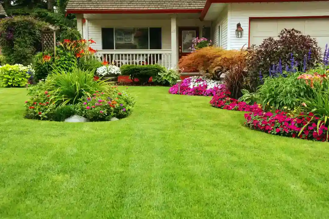 Landscaping Burwood
