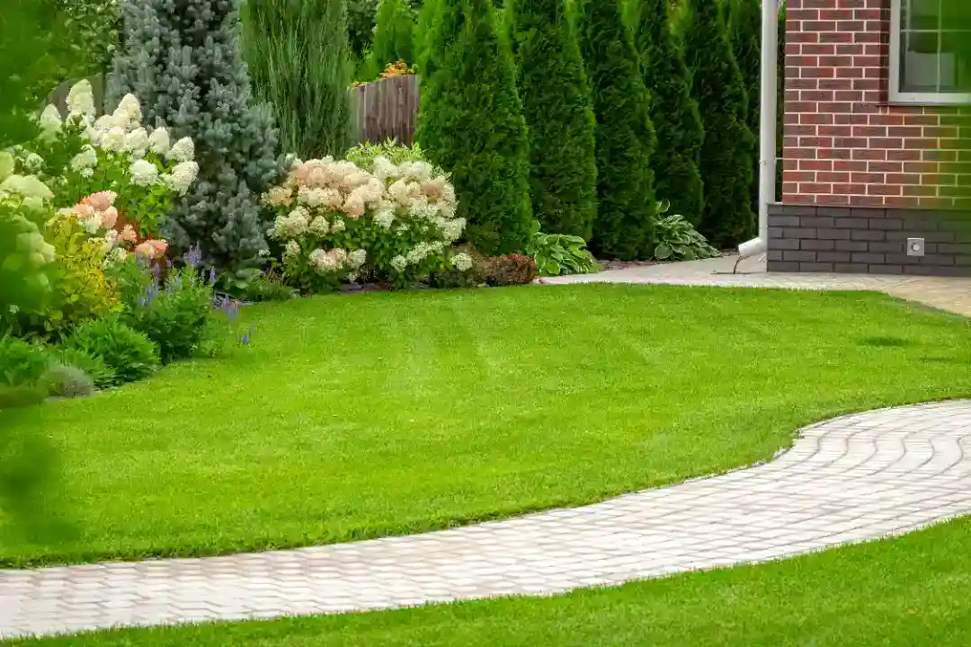 Landscaping Camberwell