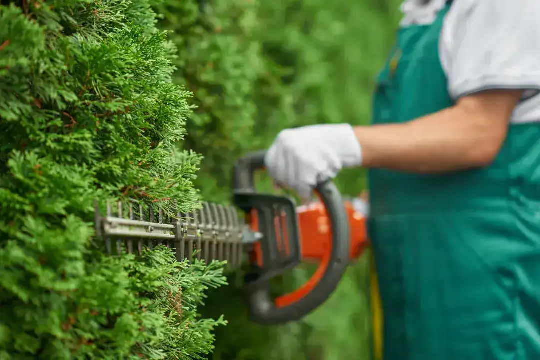 Landscaping Camberwell