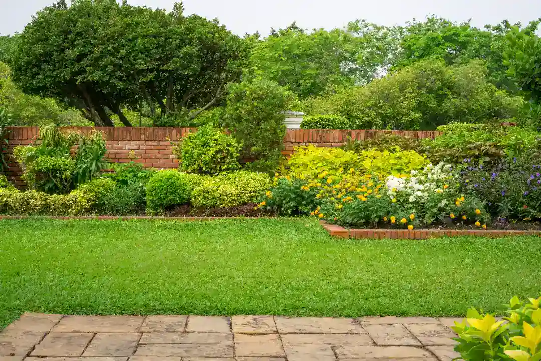 Landscaping Camberwell