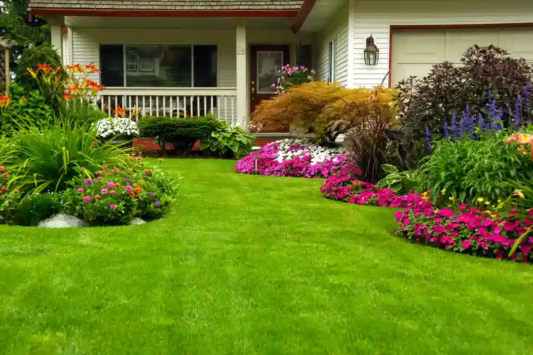 Landscaping Camberwell