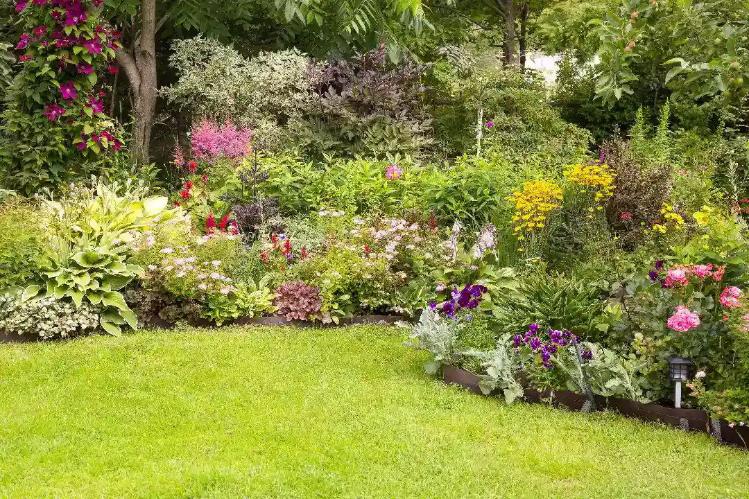 Landscaping Canterbury