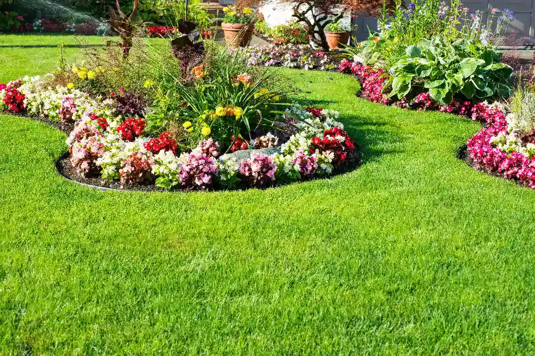 Landscaping Canterbury
