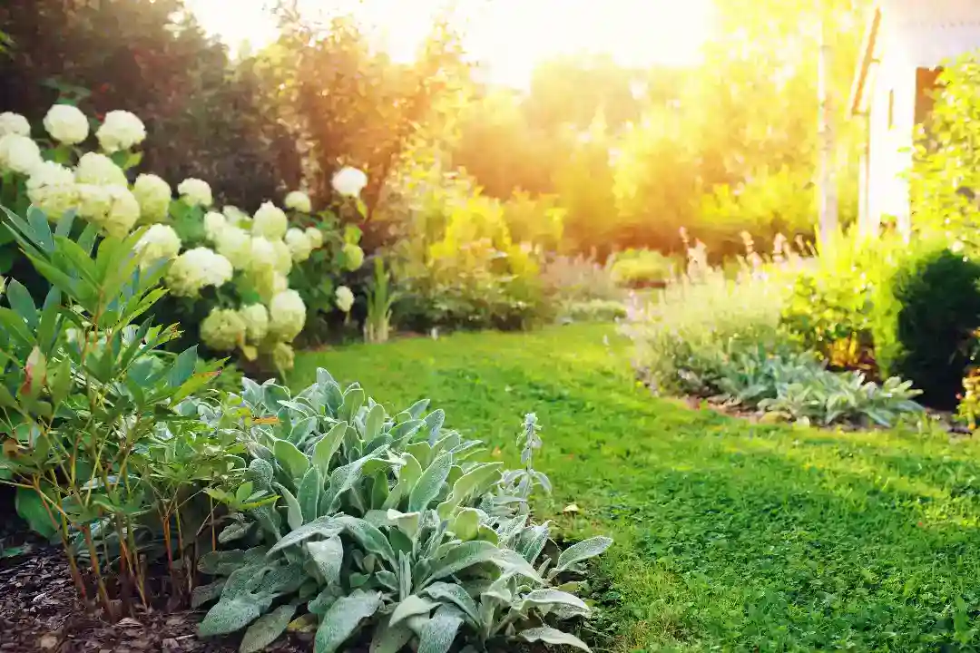 Landscaping Canterbury