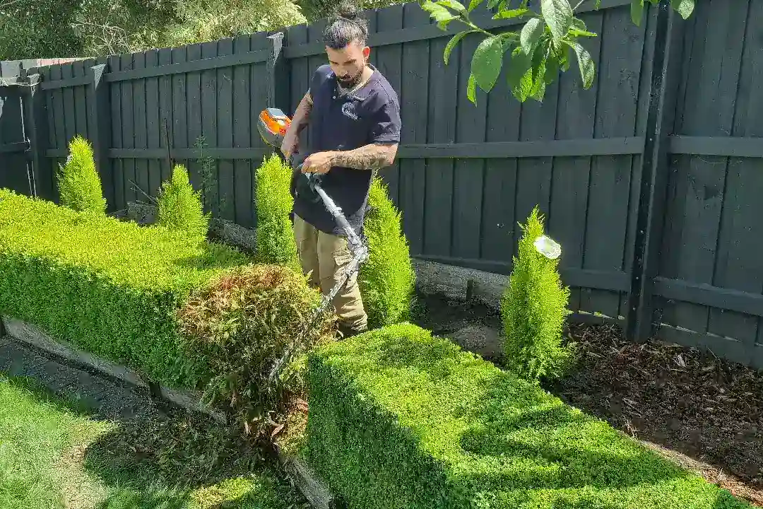 Landscaping Elwood