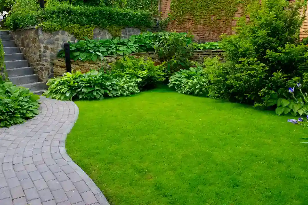 Landscaping Hawthorn