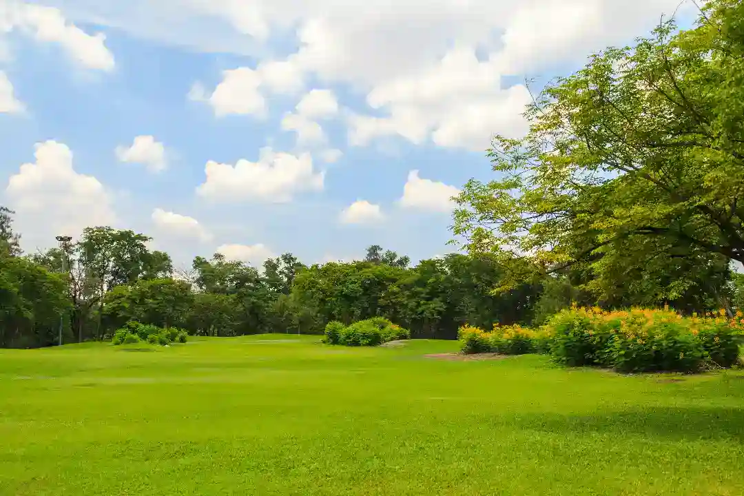 Landscaping Malvern