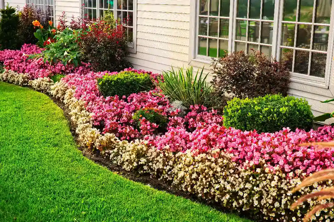Landscaping Ringwood