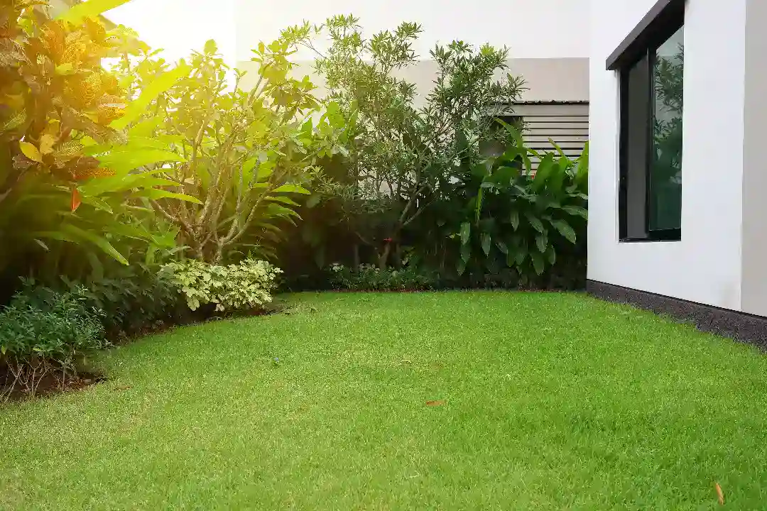 Landscaping Ringwood