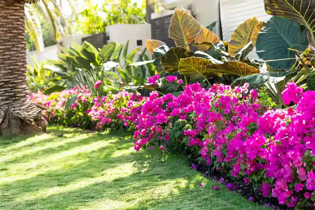 Landscaping Toorak