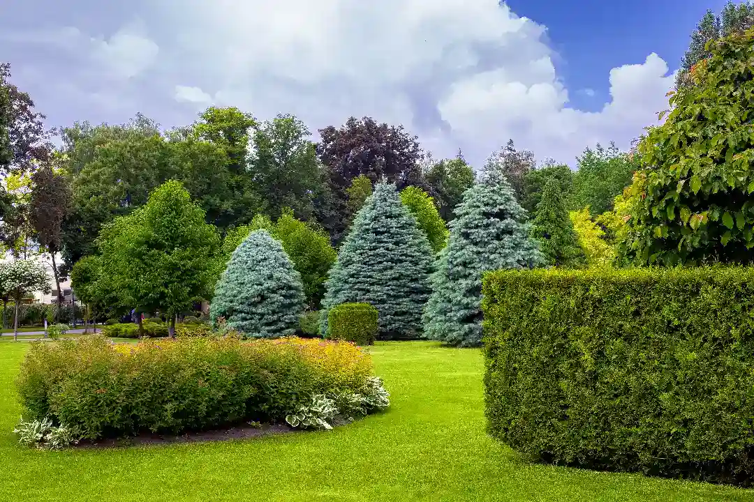 Landscaping Toorak