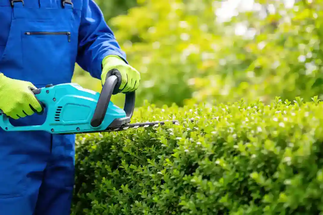Landscaping Toorak