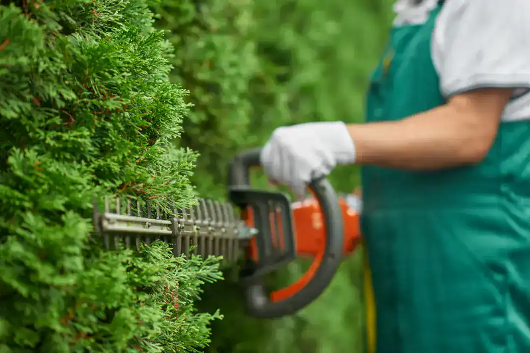 Landscaping Bulleen