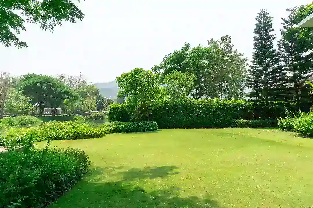 Landscaping Eltham