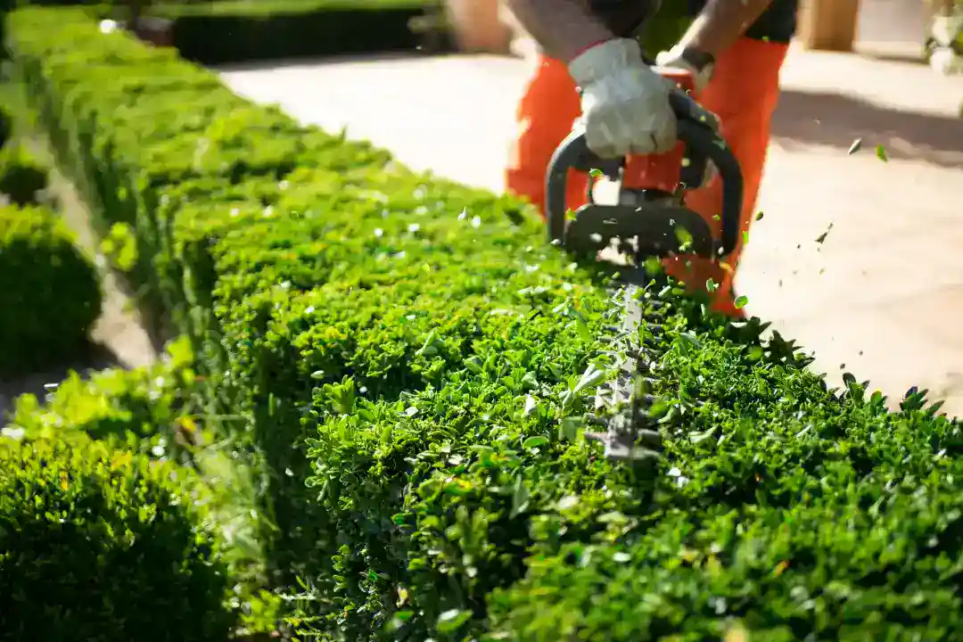 Landscaping Eltham