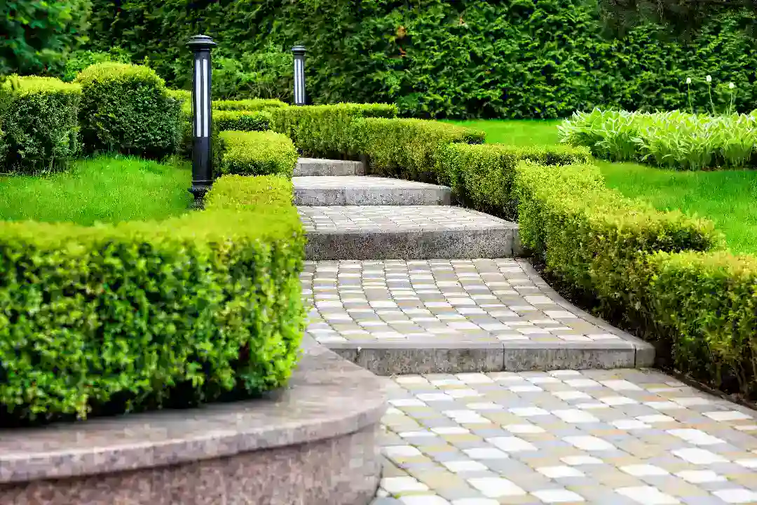 Landscaping Eltham