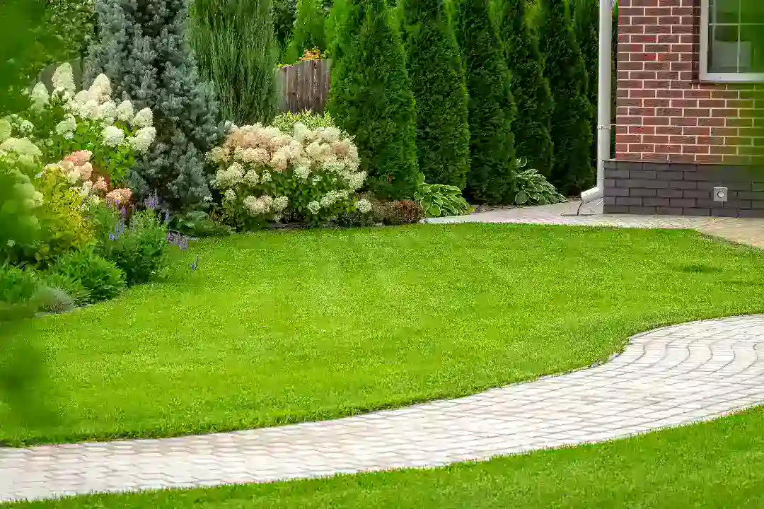 Landscaping Eltham