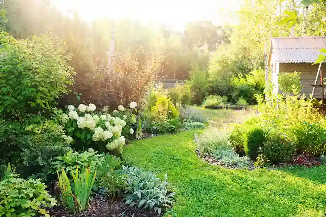 Landscaping Eltham