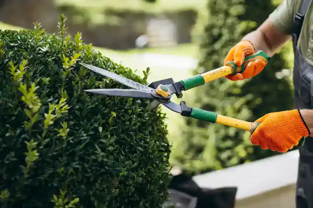 Landscaping Eltham