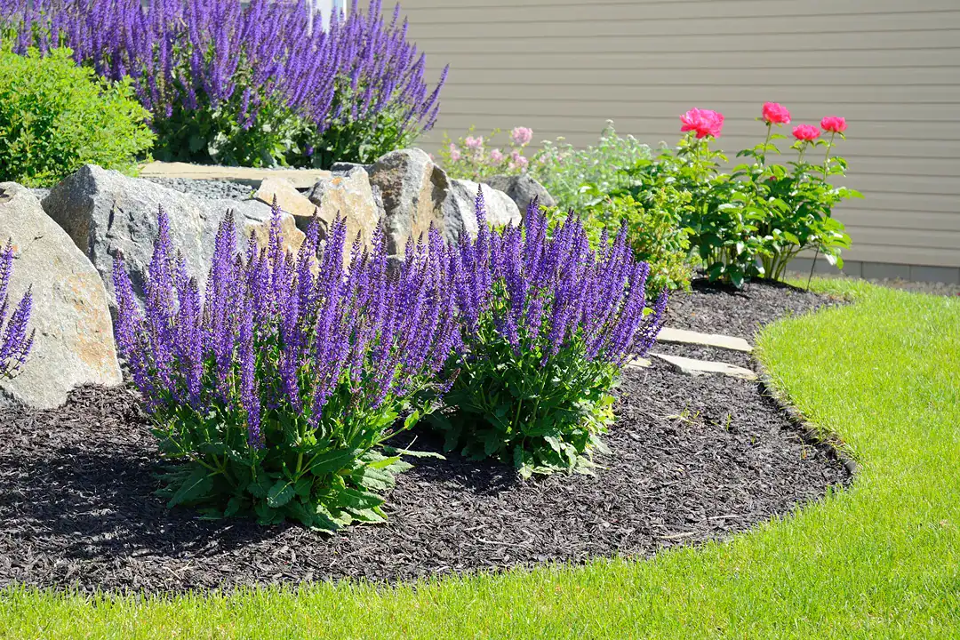 Landscaping Glen Waverley