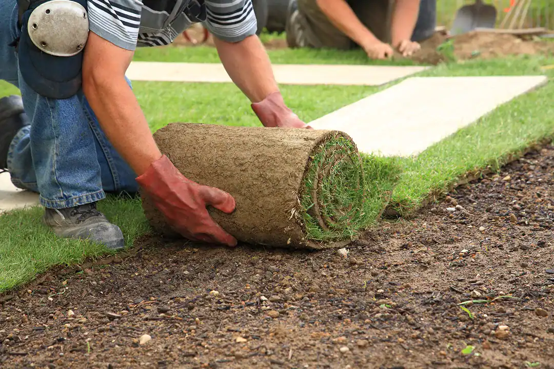 Landscaping Glen Waverley