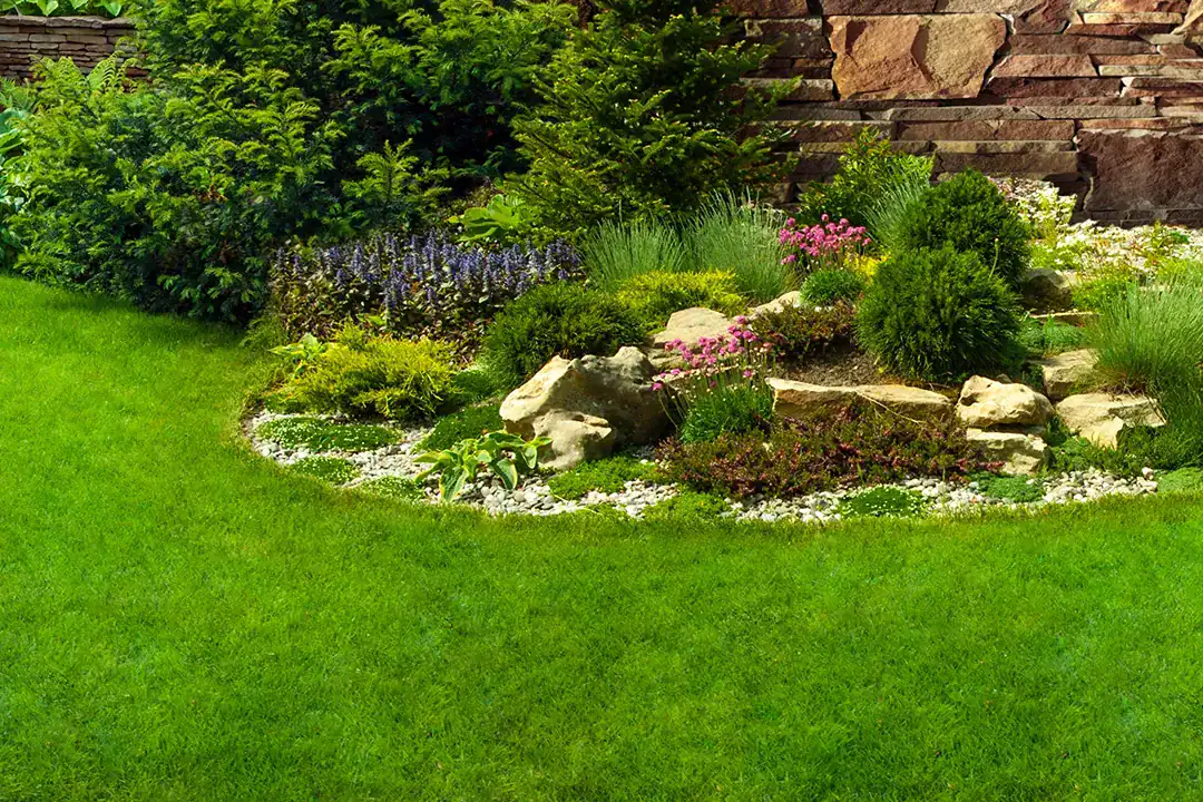 Landscaping Toorak