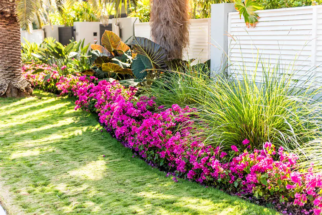Landscaping Toorak