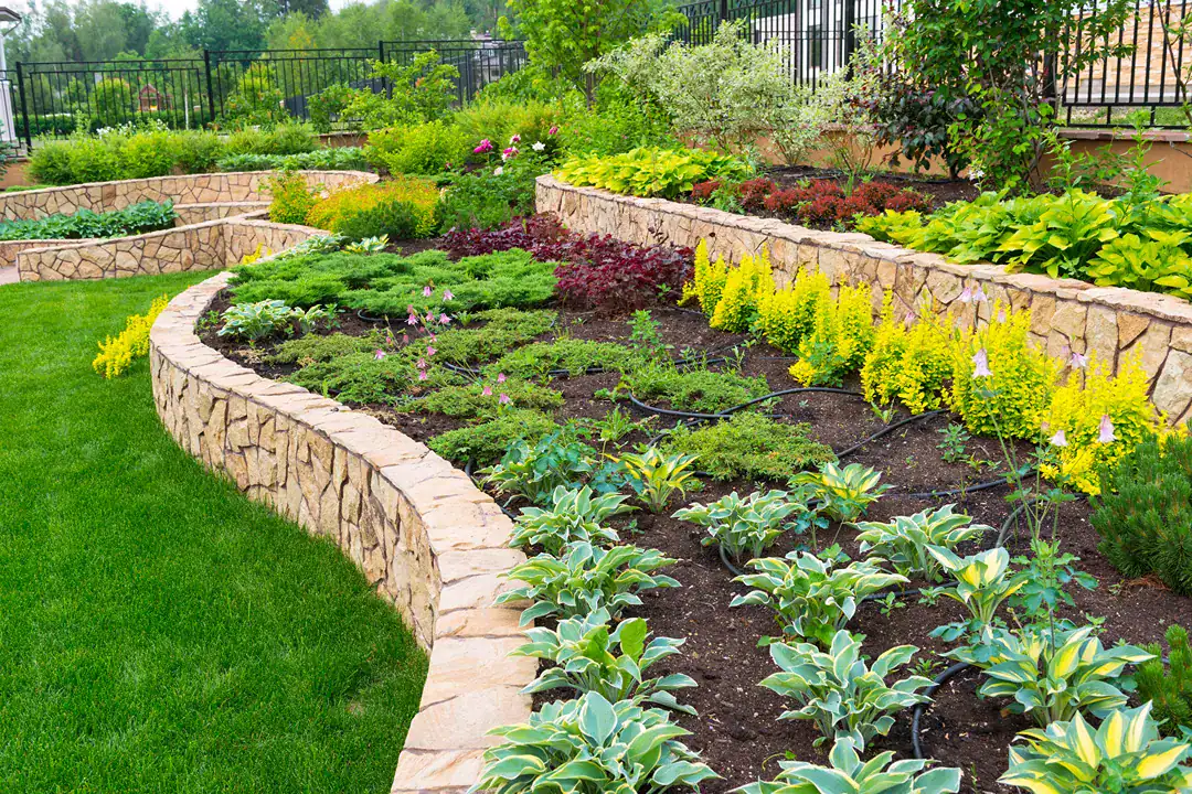 Landscaping Toorak